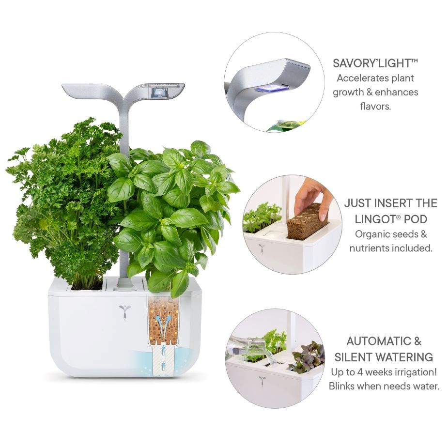 Véritable Exky SMART  - Automatický květináč s regulací osvětlení,  bílá + 2 bylinkové náplně11 