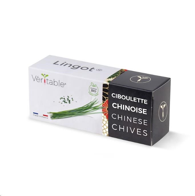 Véritable Lingot Čínská pažitka - BIO0 