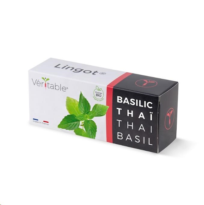 Véritable Lingot Thajská bazalka - BIO0 