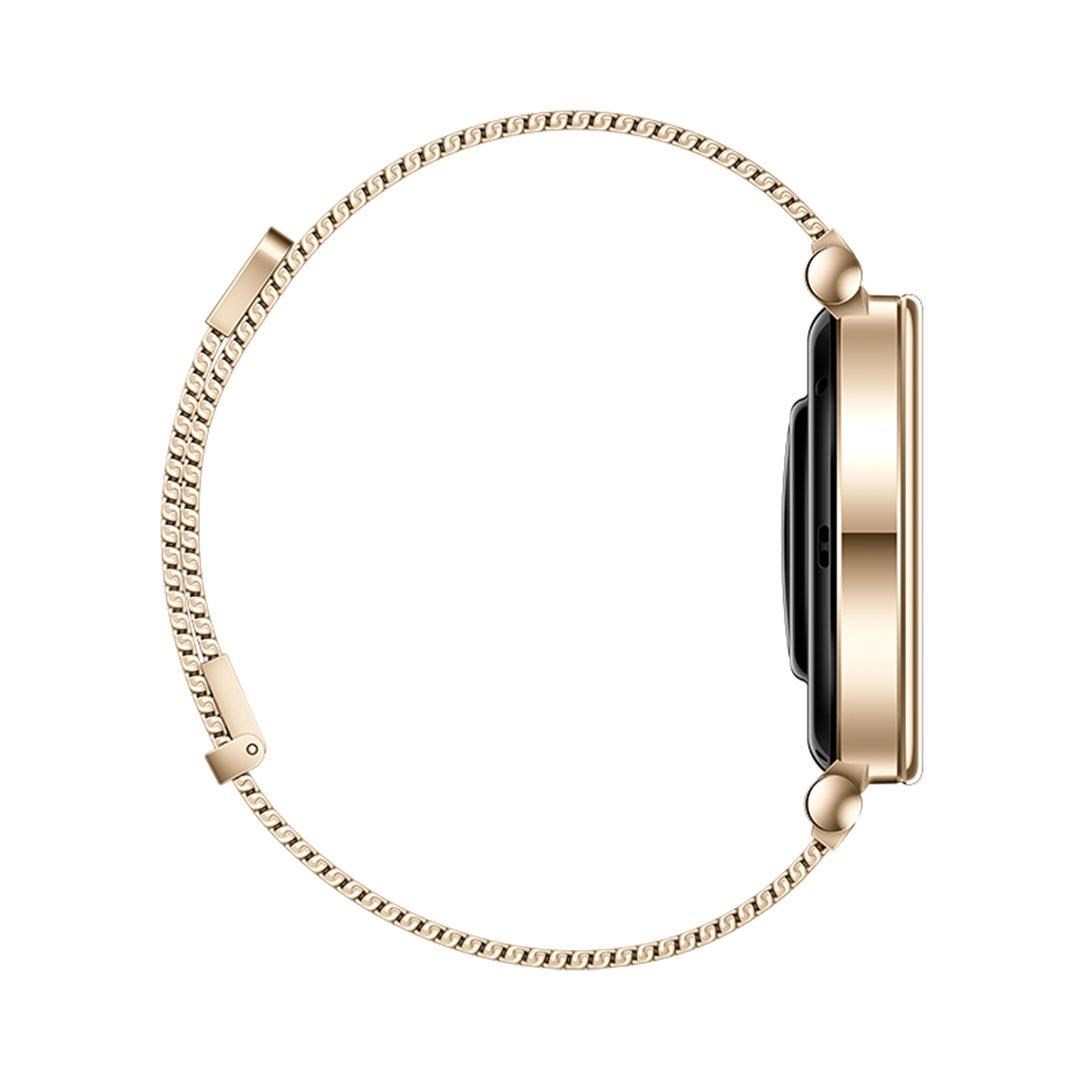 Huawei Watch GT4 41mm (Aurora-B19M),  gold EU4 