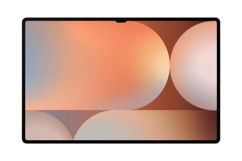 Samsung Galaxy Tab S10 Ultra (WiFi) 12GB/ 256GB,  EU,  stříbrný1 