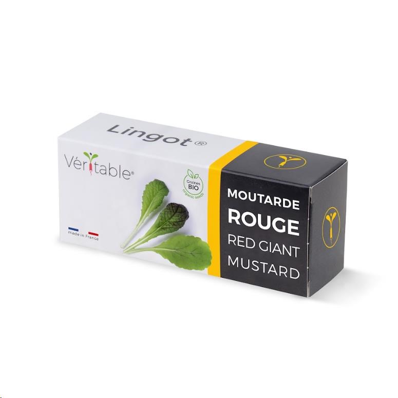 Véritable Lingot Červená listová hořčice - BIO0 