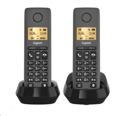 Gigaset Basic 100 Duo Black0 