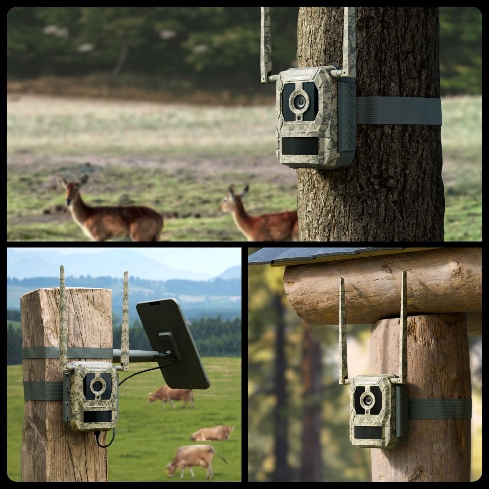 REOLINK Fotopast Talon Series T130, 4K UHD, 4G LTE6 