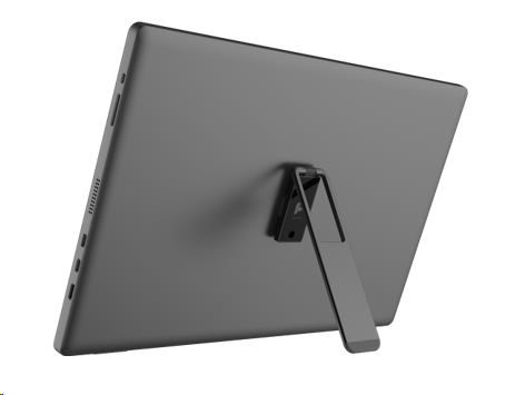 MSI LCD PRO MP161 E2U,  15.6