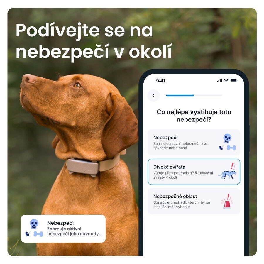 Tractive DOG 6 – GPS lokátor pro psy a monitor zdraví,  hnědý4 