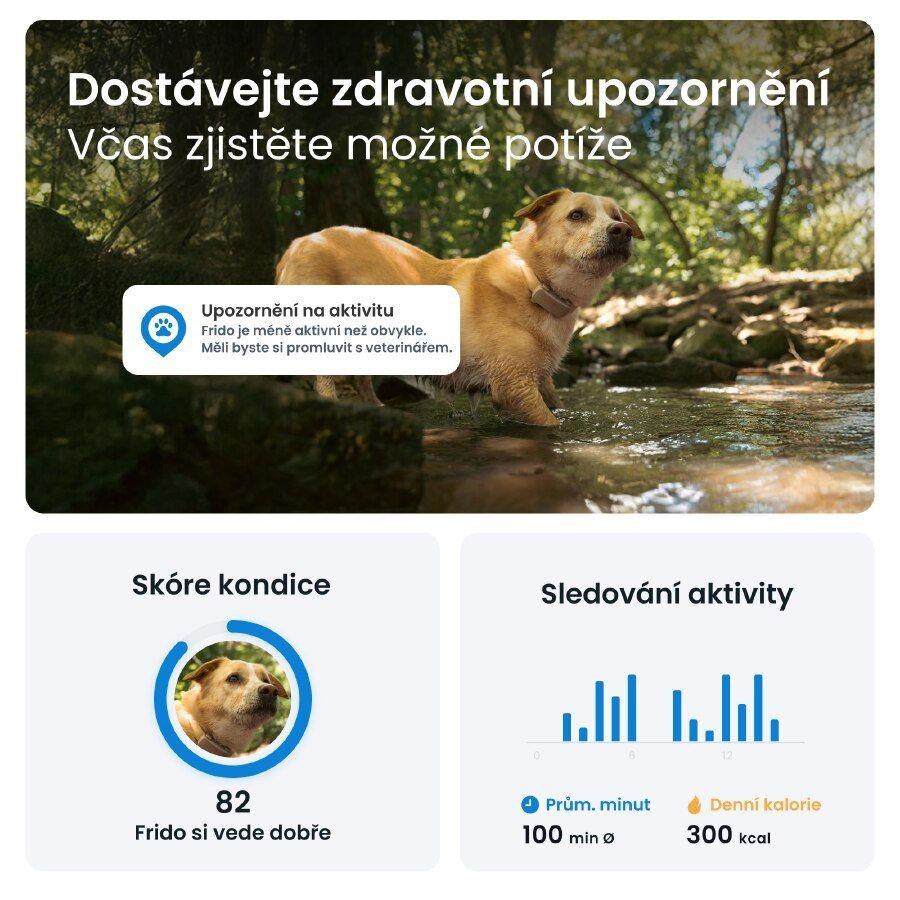 Tractive DOG 6 – GPS lokátor pro psy a monitor zdraví,  hnědý5 