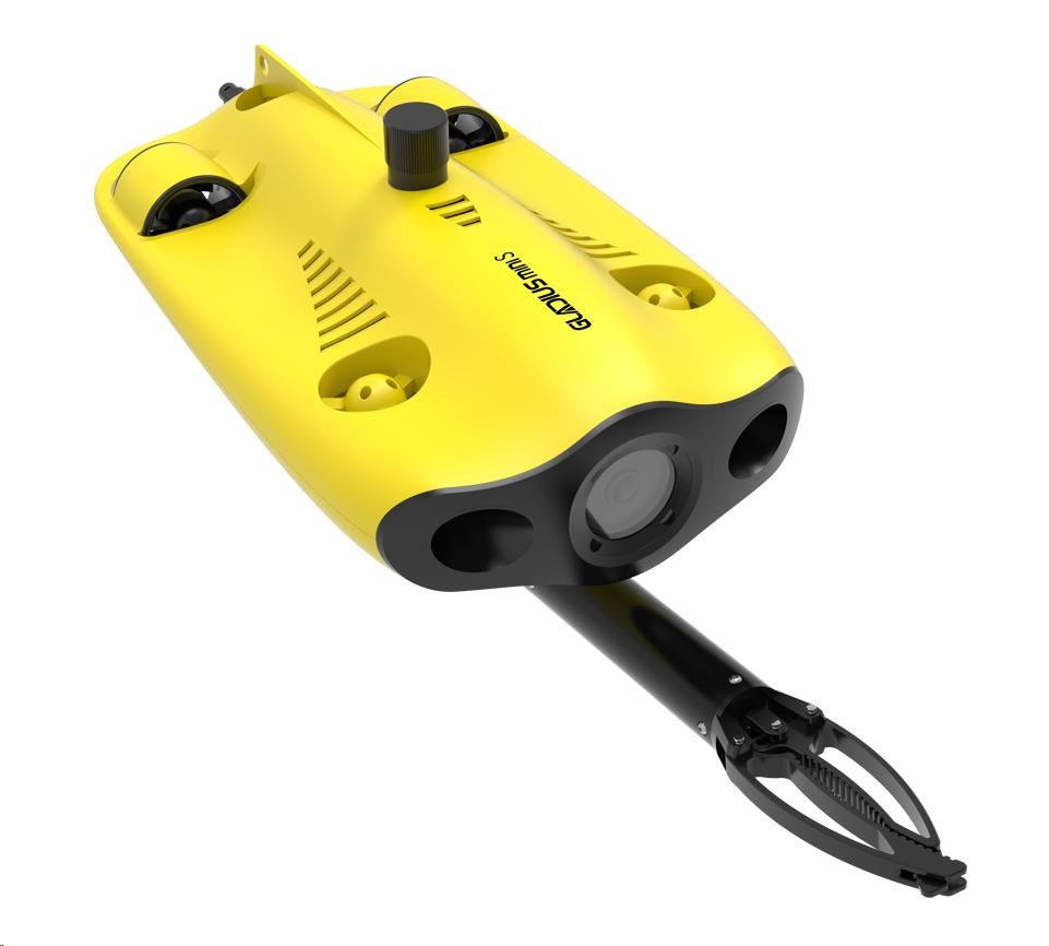 Chasing Gladius Mini S 100m7 