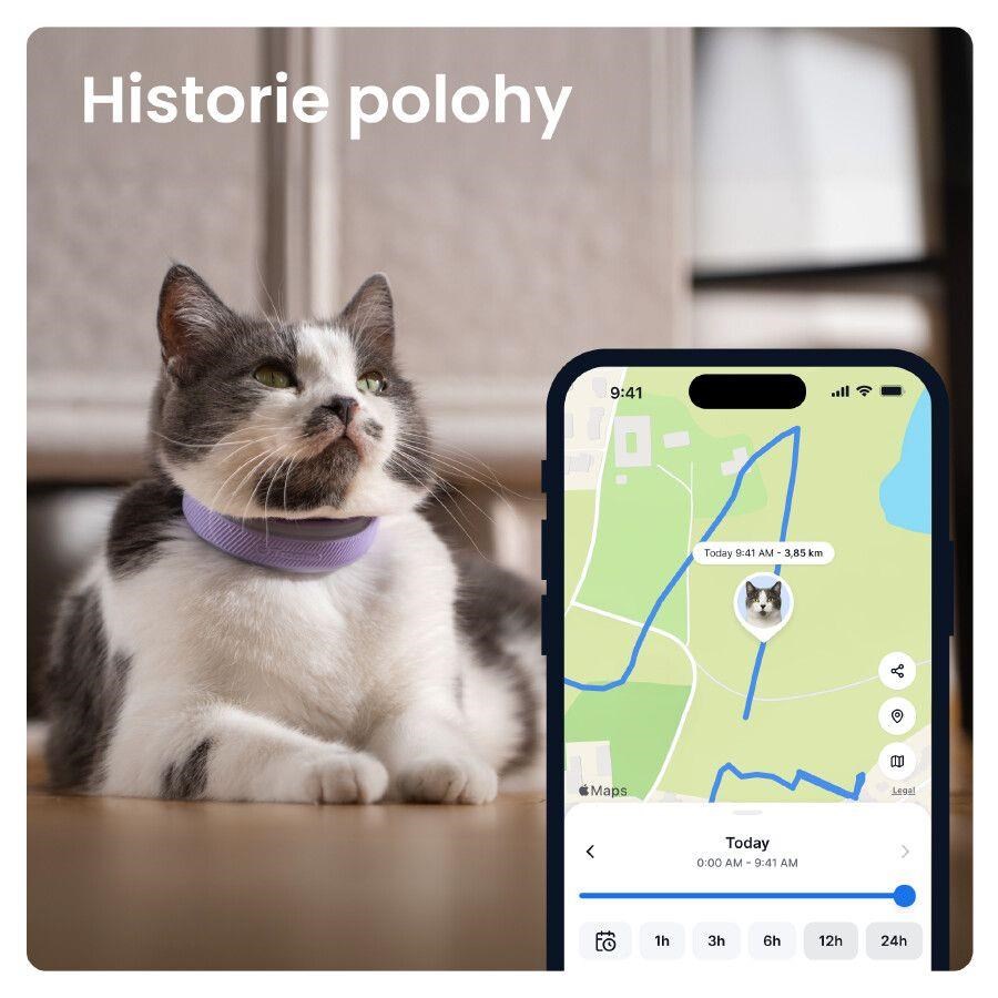 Tractive CAT 6 Mini – chytrý GPS lokátor pro kočky a monitor zdraví s integrovaným obojkem - levandulový4 
