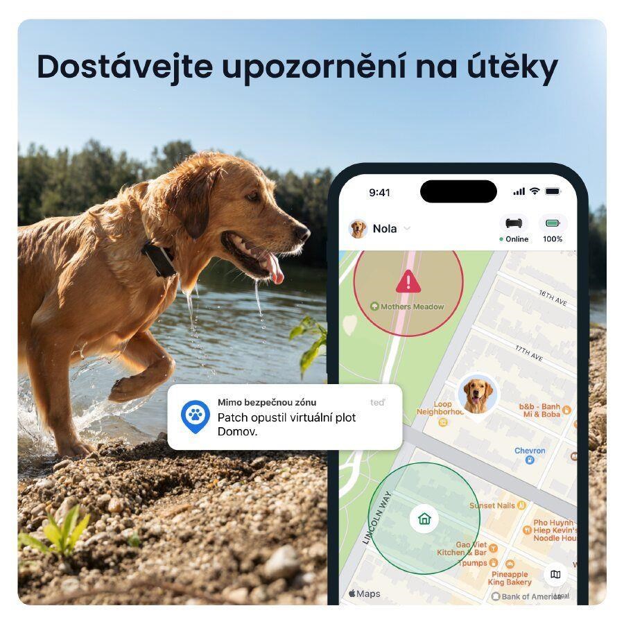 Tractive DOG 6 XL – Chytrý GPS lokátor pro psy se sledováním životních funkcí a zdravotními upozorněními,  černý4 