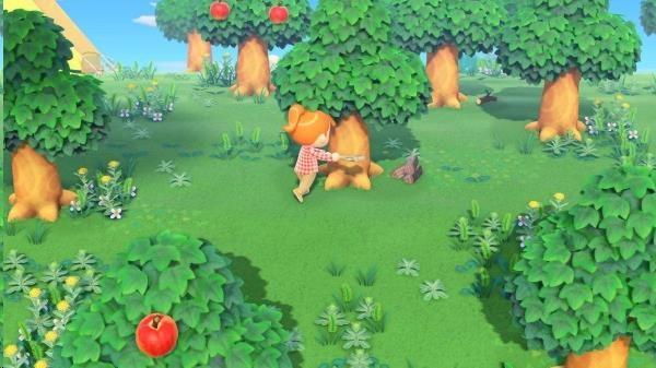 SWITCH Animal Crossing: New Horizons5