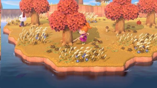SWITCH Animal Crossing: New Horizons9