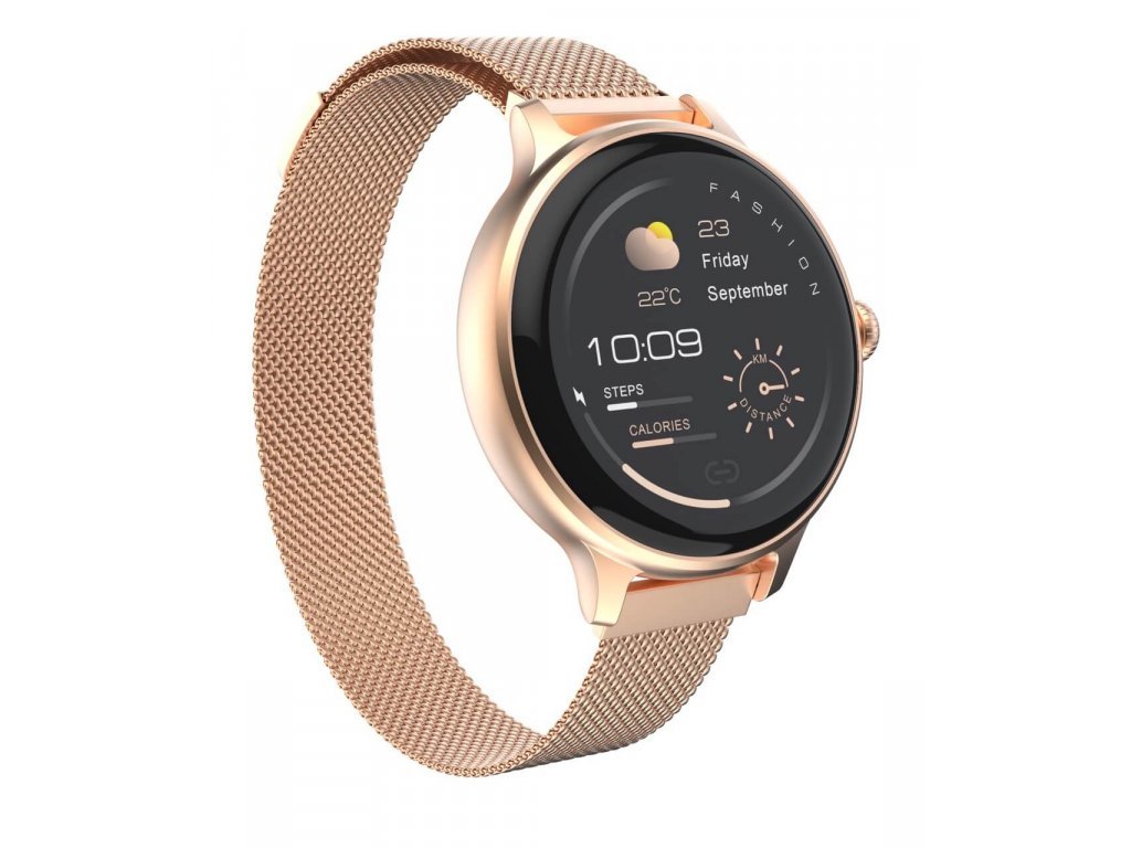 CARNEO Hero mini HR+/ Rose Gold/ Elegant Band/ Rose Gold3 