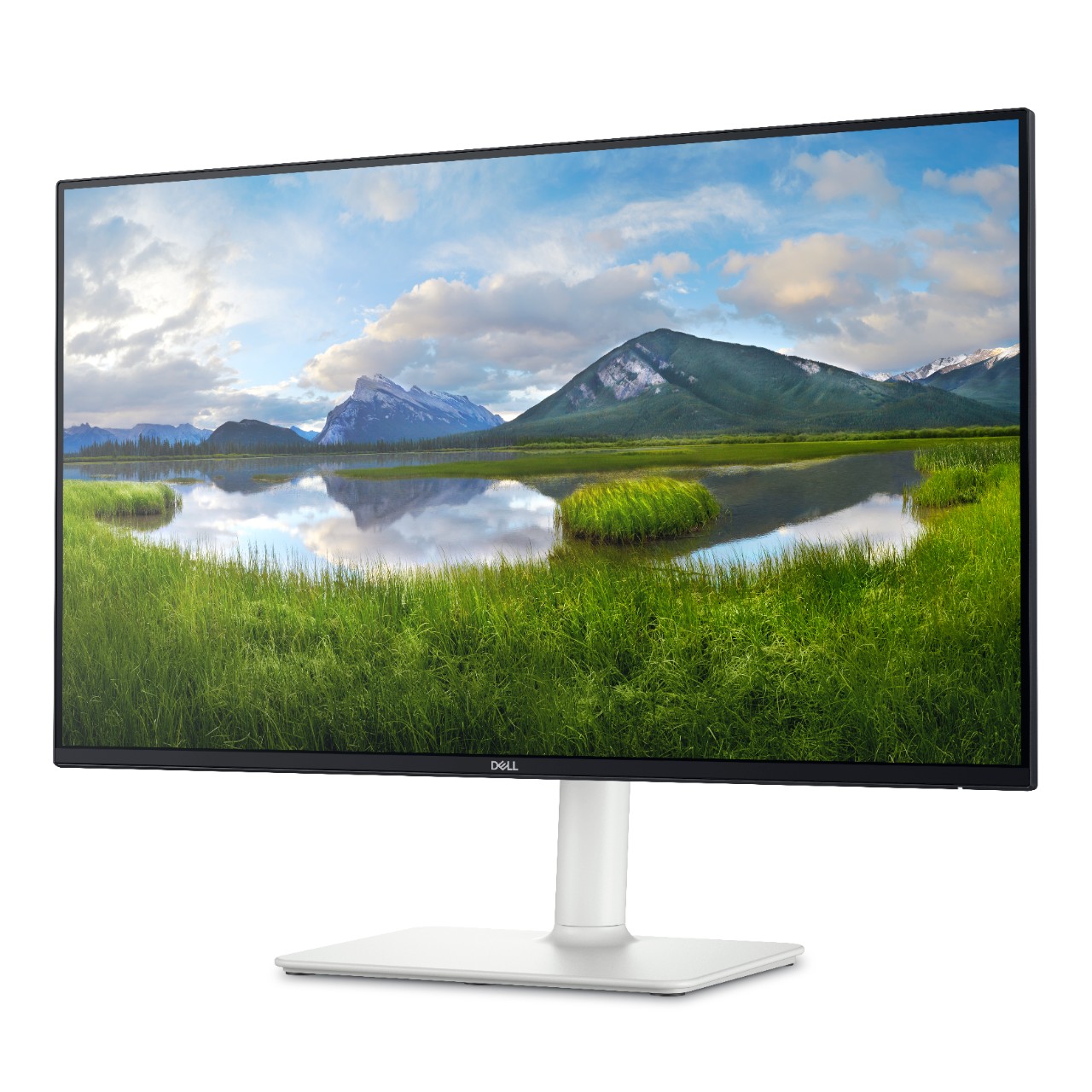 Dell/ S2425HS/ 23, 8"/ IPS/ FHD/ 100Hz/ 4ms/ Blck-White/ 3RNBD1 