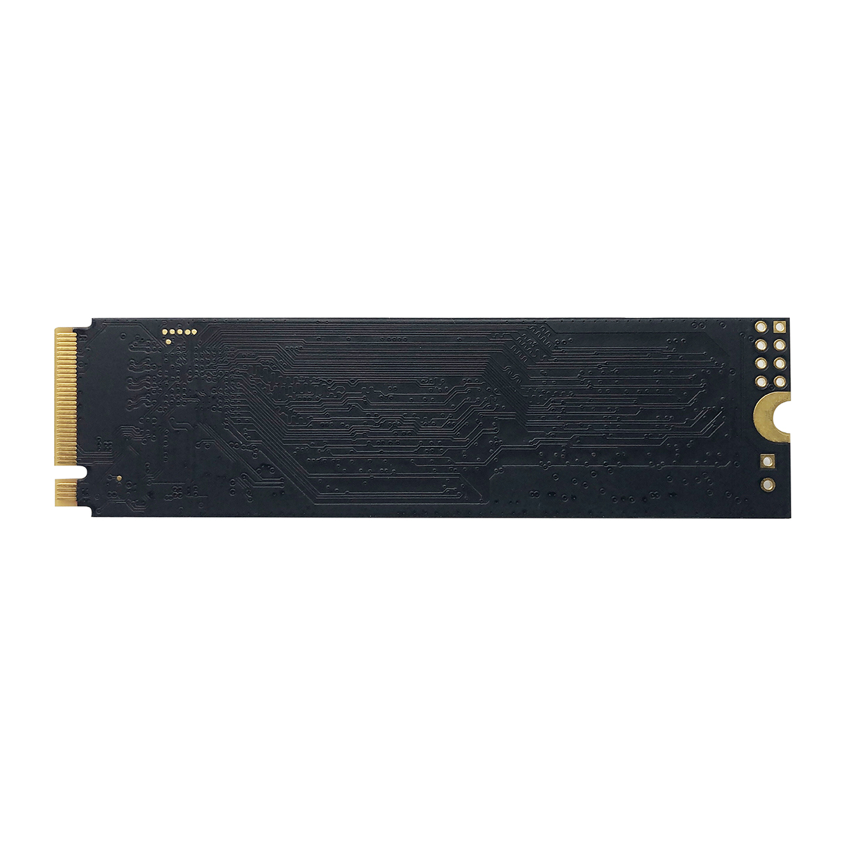 PATRIOT P310/ 240GB/ SSD/ M.2 NVMe/ 5R1 