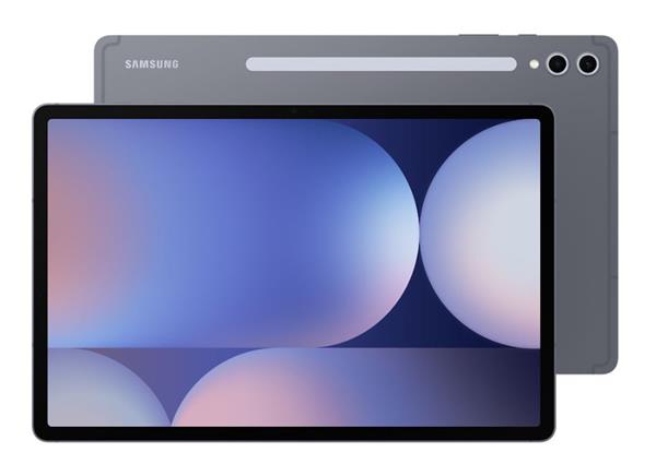 Samsung Tablet Galaxy Tab S10+ 12,4" X820 256GB Wifi, moonstone gray0 