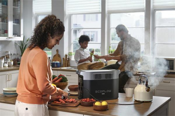 EcoFlow DELTA 2 Max5 