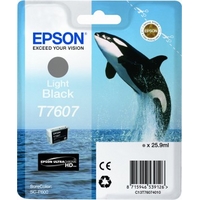 Epson T7607 Ink Cartridge Light Black0 
