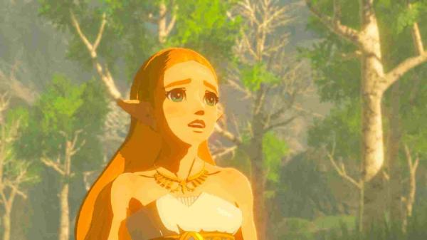 The Legend of Zelda: Breath of the Wild, krabicová1