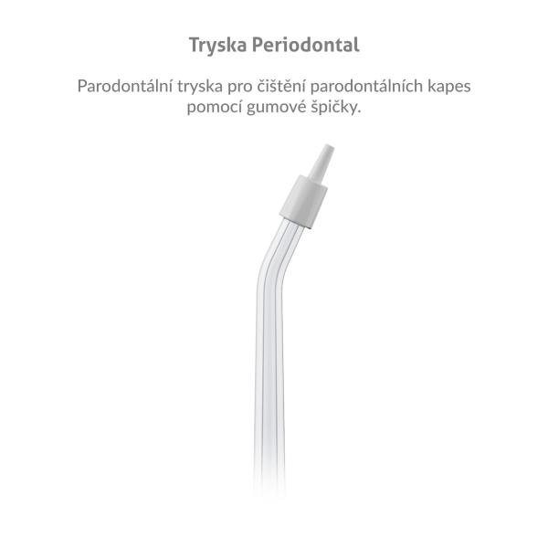 TrueLife AquaFloss L-series jets Periodontal 4 pack 
