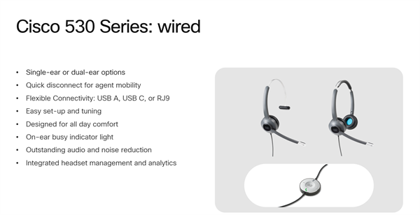 Headset 531 Wired Single + USBC Headset Adapter 