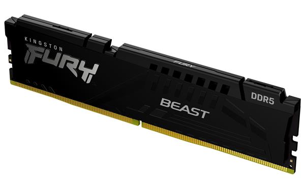 Kingston FURY Beast EXPO/ DDR5/ 8GB/ 5600MHz/ CL36/ 1x8GB/ Black 