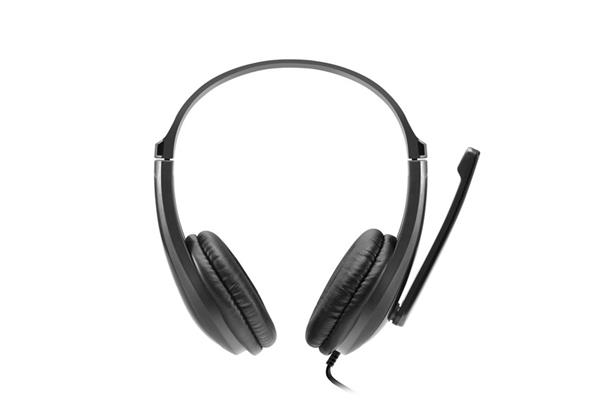 Canyon HSC-1, PC Headset, slúchadla s mikrofónom, 1 x 3.5mm jack komb., ovládanie na kábli, 2 m, čierne 