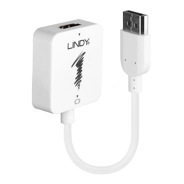 Lindy Konvertor HDMI na DisplayPort F M podpora 4K UHD 15cm biely 