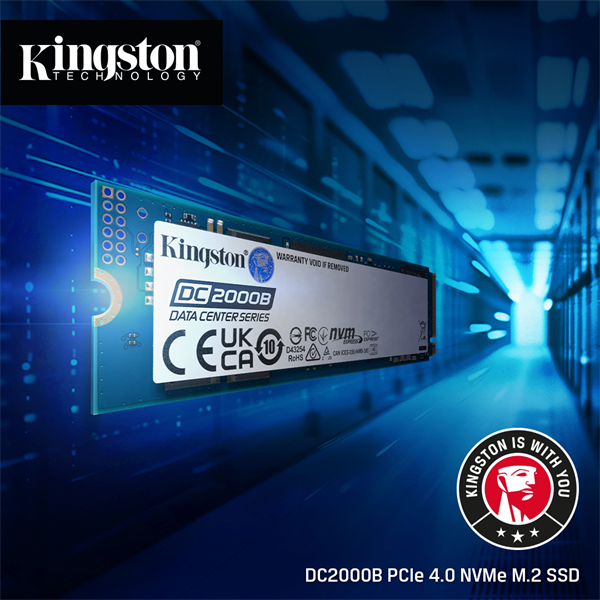 Kingston 240GB SSD DC2000B PCIe Gen4 x4 NVMe M.2 2280 ( r4500MB s, w400MB s )  