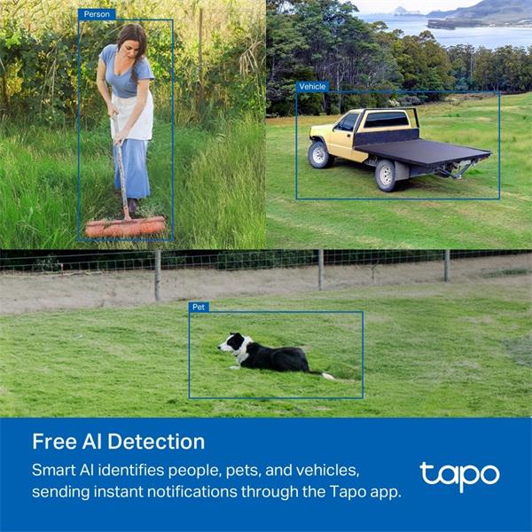 tp-link Tapo C501GW, Outdoor Pan/Tilt 4G LTE Camera 