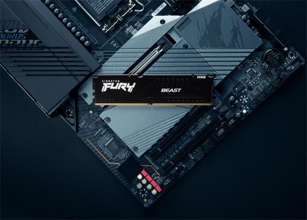 DDR 5....        64GB . 5600MHz. CL40 FURY Beast Black Kingston XMP/EXPO (2x32GB) 