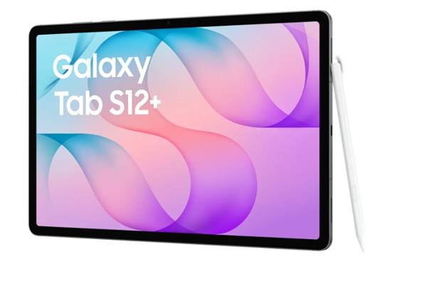 Samsung Tablet Galaxy Tab S12+ 5G 14,6" X846 256GB, gray 