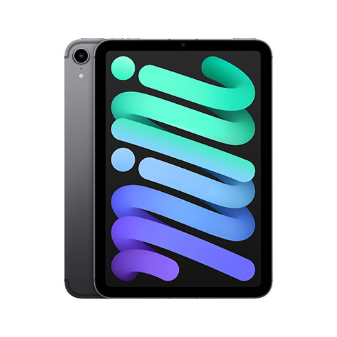 iPad mini Wi-Fi + Cellular 64GB Kozmický sivý (2021)