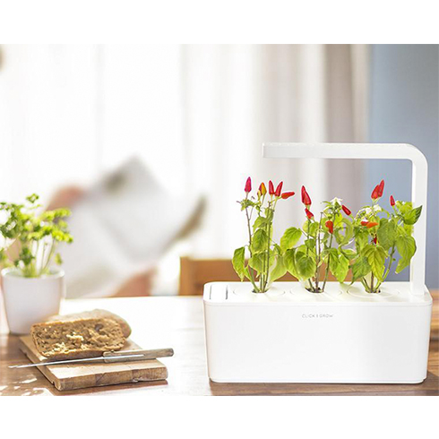 Smart Garden Chili papričky 