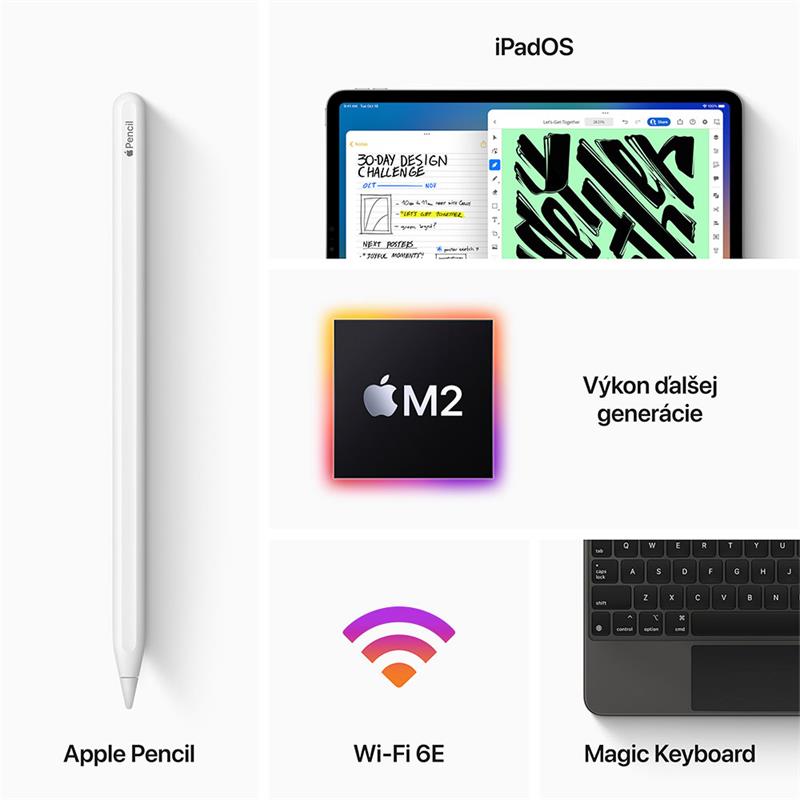 iPad Pro 12.9" Wi-Fi + Cellular 1TB Kozmický sivý (2022) 