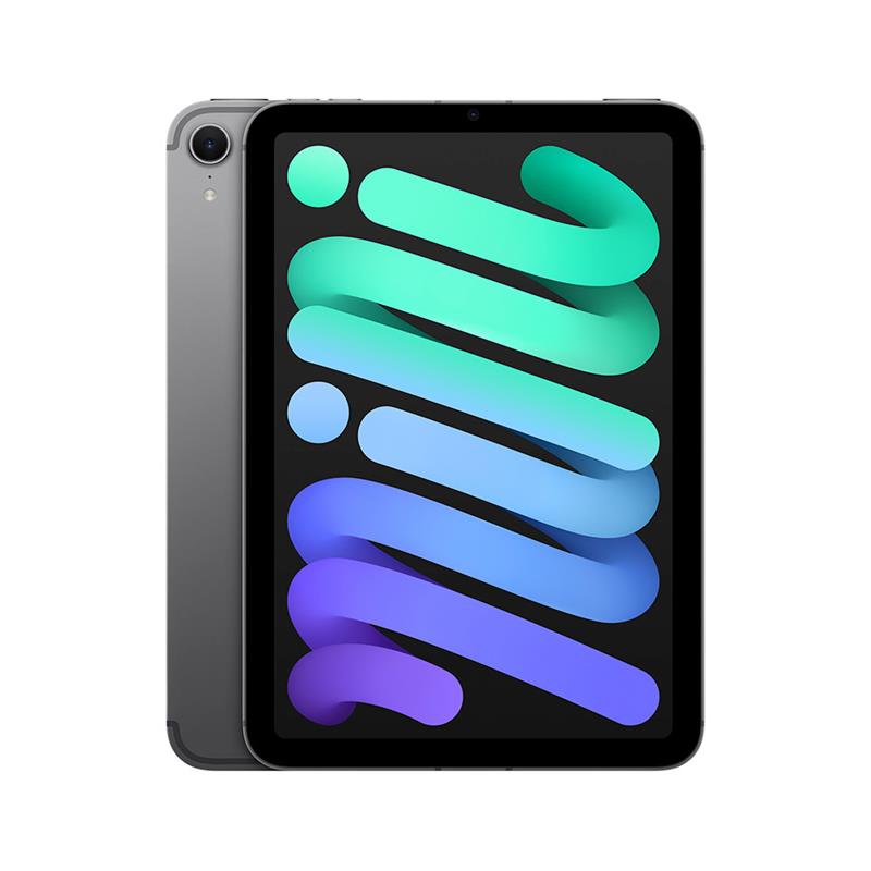 iPad mini Wi-Fi + Cellular 128GB Kozmický sivý (2024) 