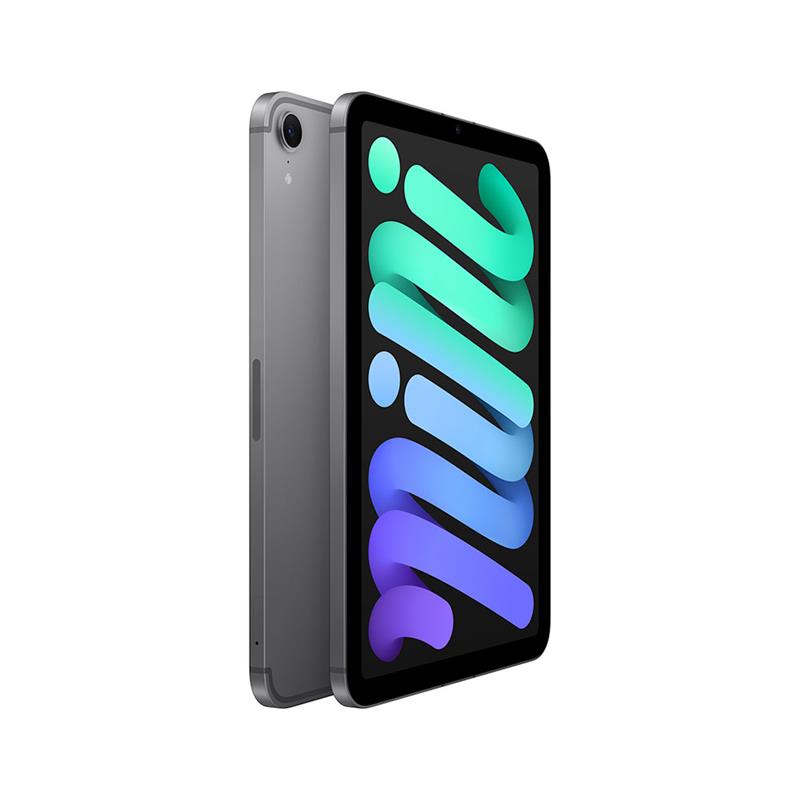 iPad mini Wi-Fi + Cellular 128GB Kozmický sivý (2024) 