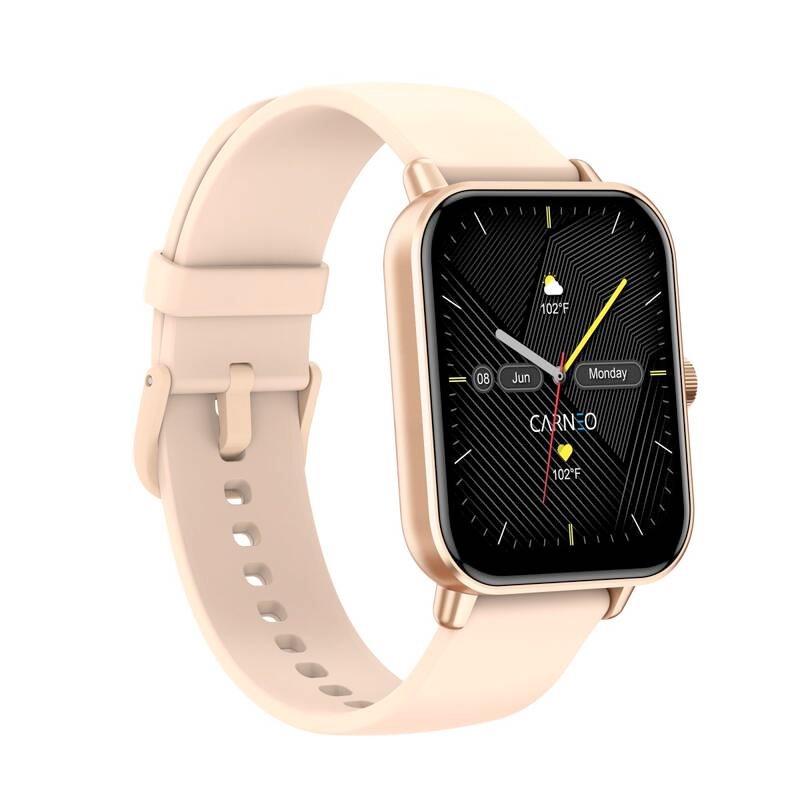 CARNEO Versa HR+ rosegold 