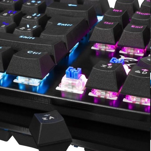 White Shark Gaming keyboard SPARTAN, US, black 