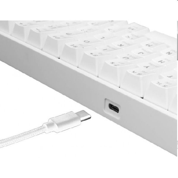 White Shark Mechanical gaming keyboard SHINOBI, US, blue switch, white 