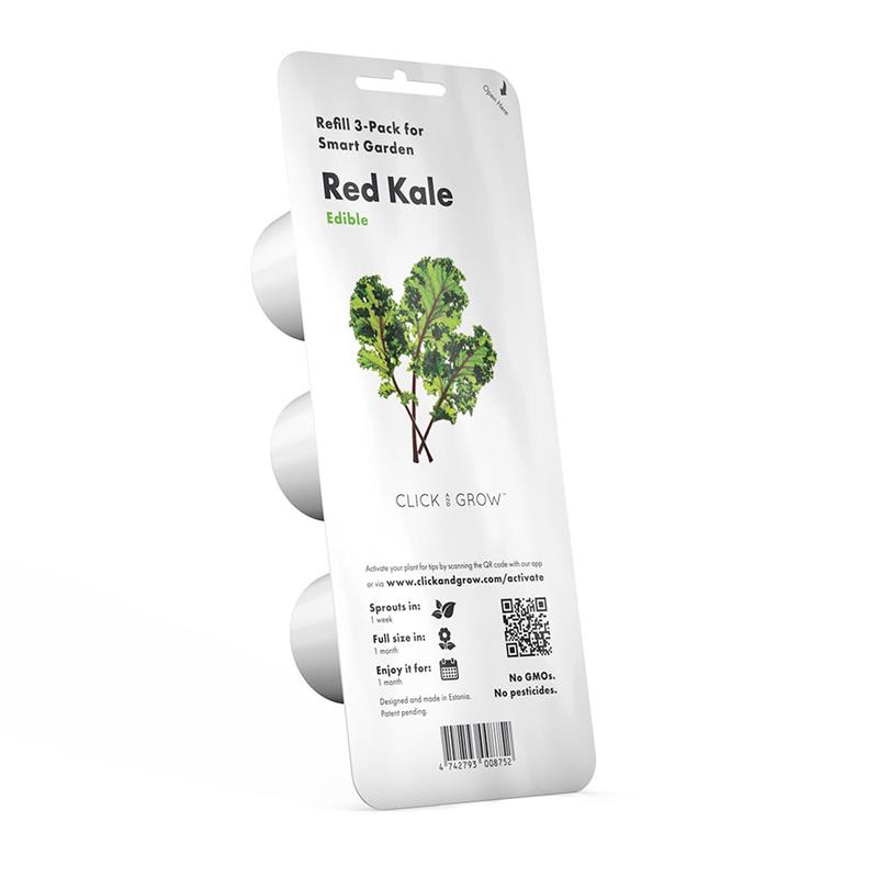 Smart Garden Kučeravý kel 