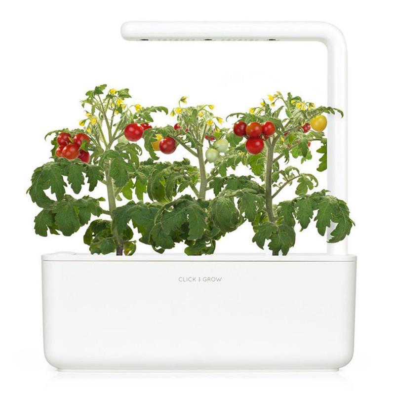 Smart Garden Mini rajčiny 