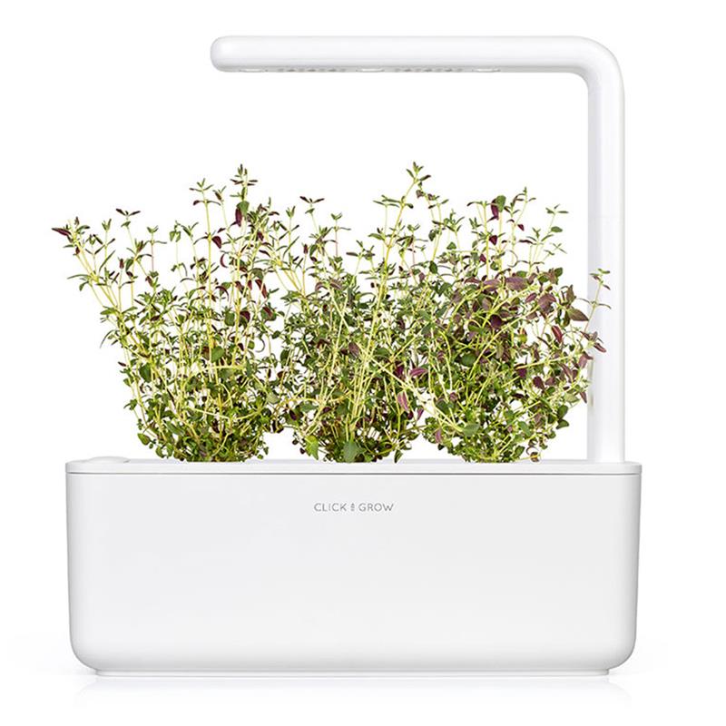 Smart Garden Tymián 