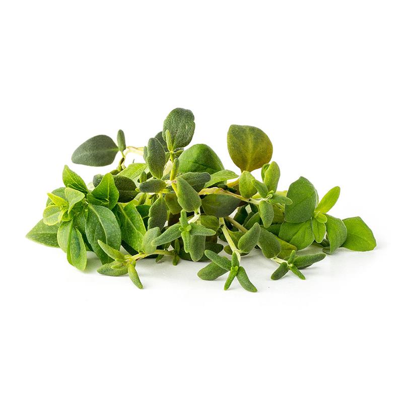 Smart Garden Mix Talianských bylín  3-pack 