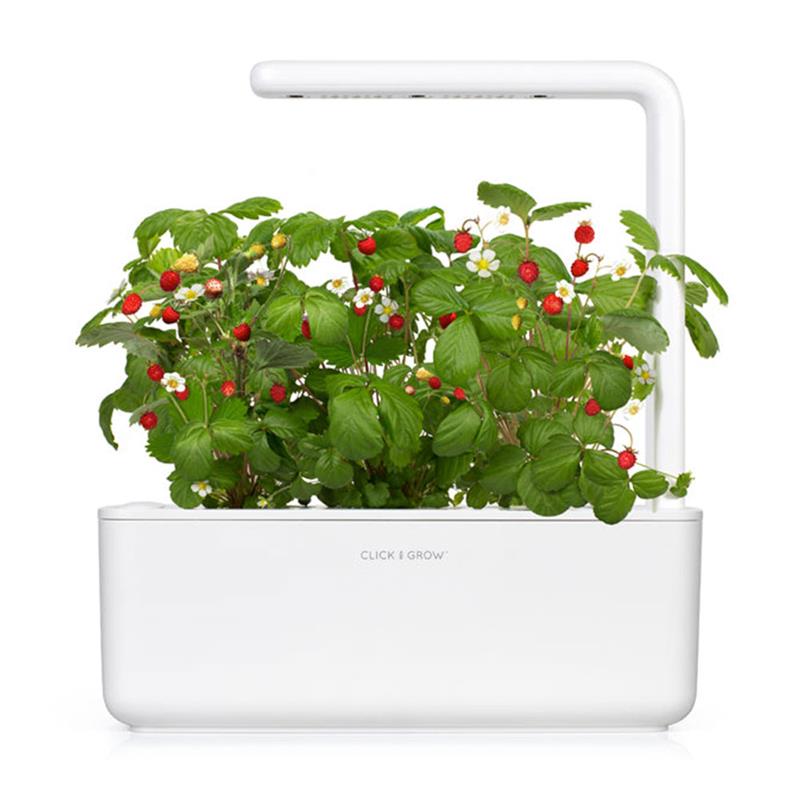 Smart Garden Mix ovocia a zeleniny  3-pack 