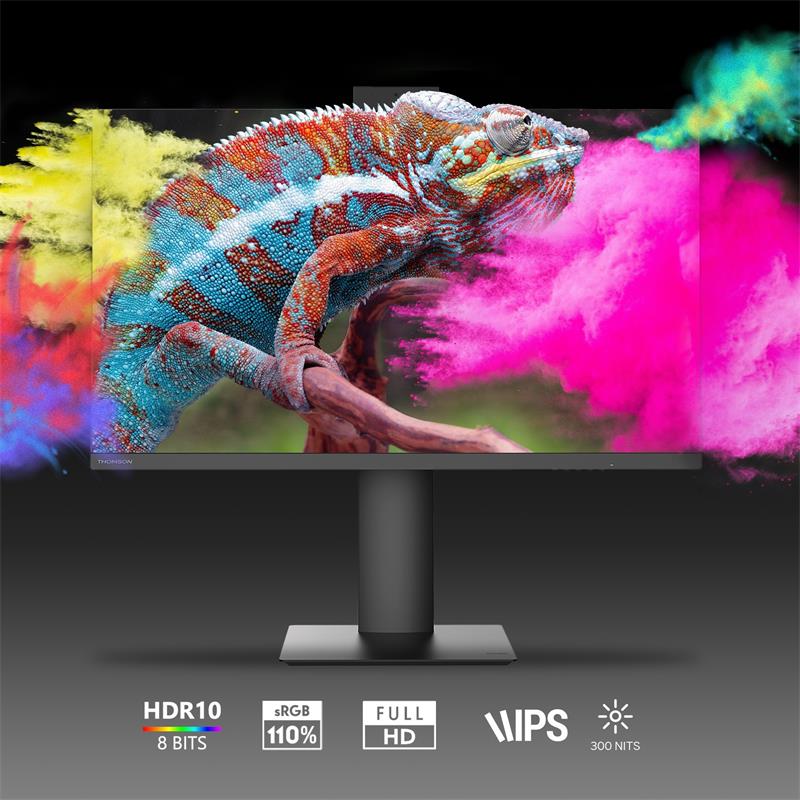 Thomson M24FB2Y14, monitor 24" FHD, 100 Hz 