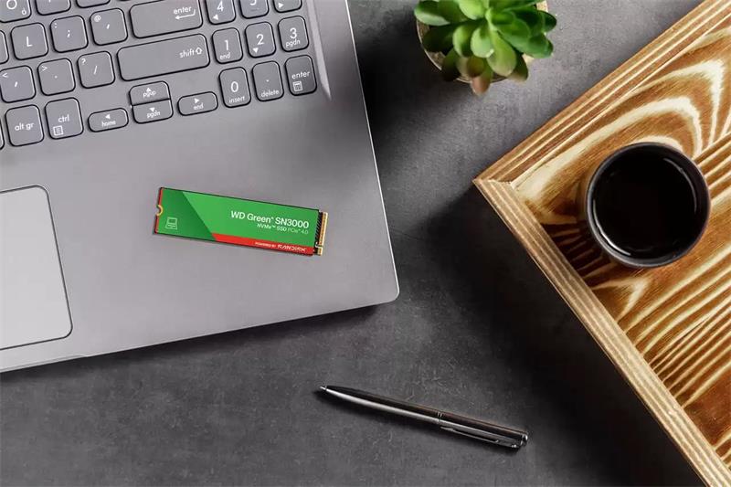 WD Green SN3000 SSD Powered by SanDisk 2TB M.2 NVMe Gen4 5000/4200MBps 
