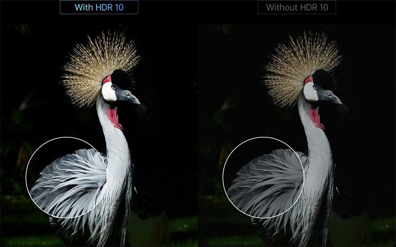 XGIMI Horizon Pro Projektor LED, 4K (3840x2160), Harman Kardon repro 2x 8W, 2200 ANSI lm 