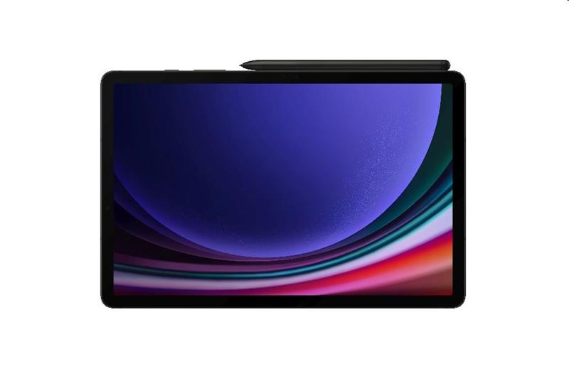 Samsung Galaxy Tab S9 (X710),  11",  8/ 128 GB,  WiFi,  EU,  šedá 