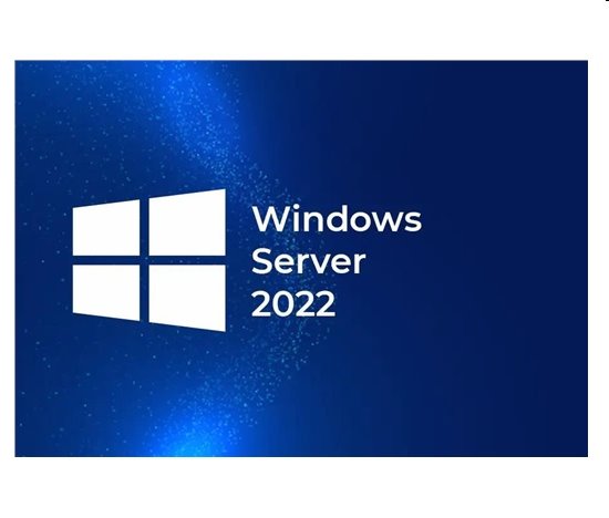 HPE MS WS22 10C Ess OEM CZ/ ENG SW